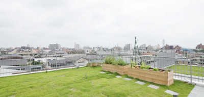 コラムサムネイル