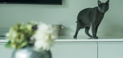 コラムサムネイル