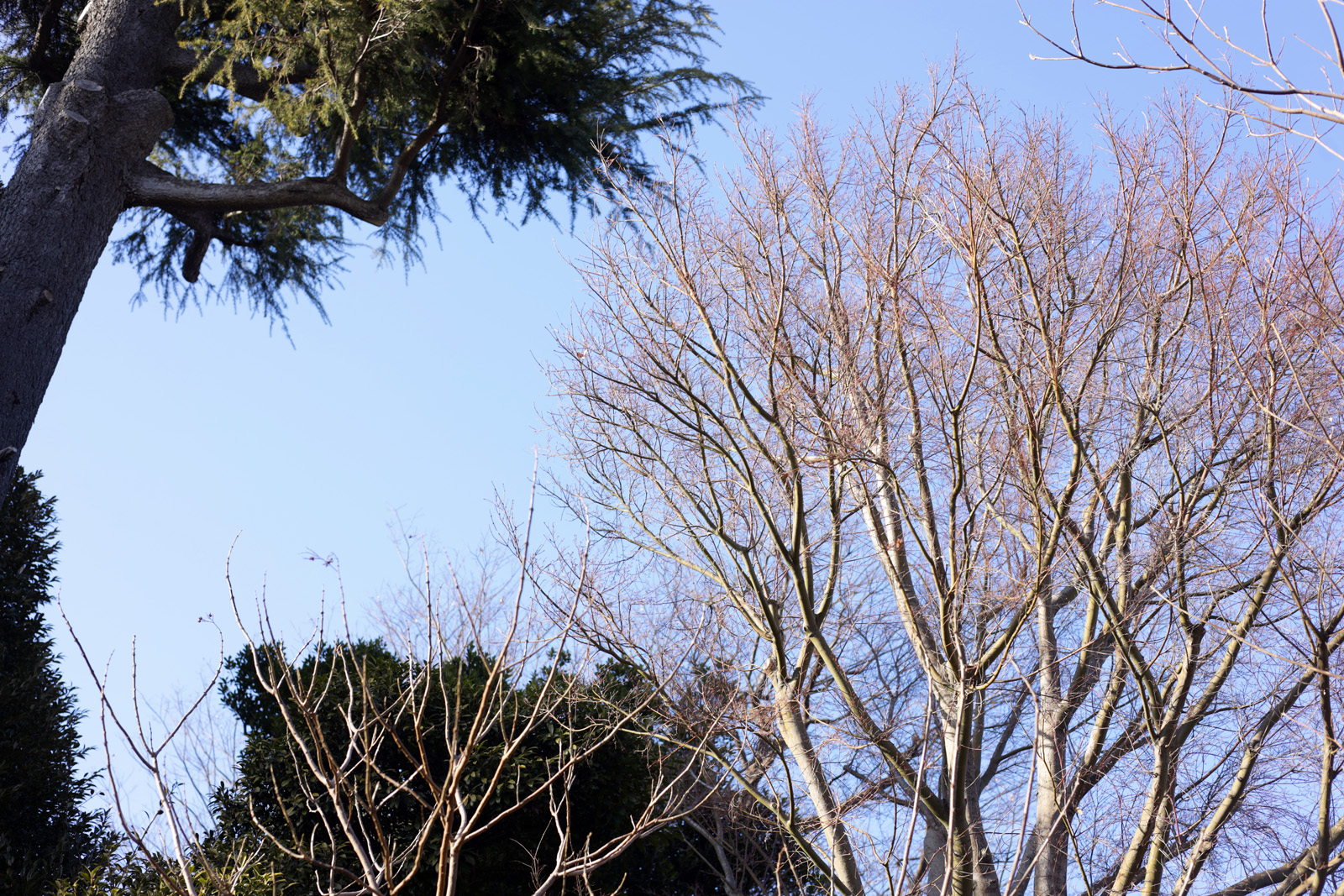 隣接環境の豊かな自然