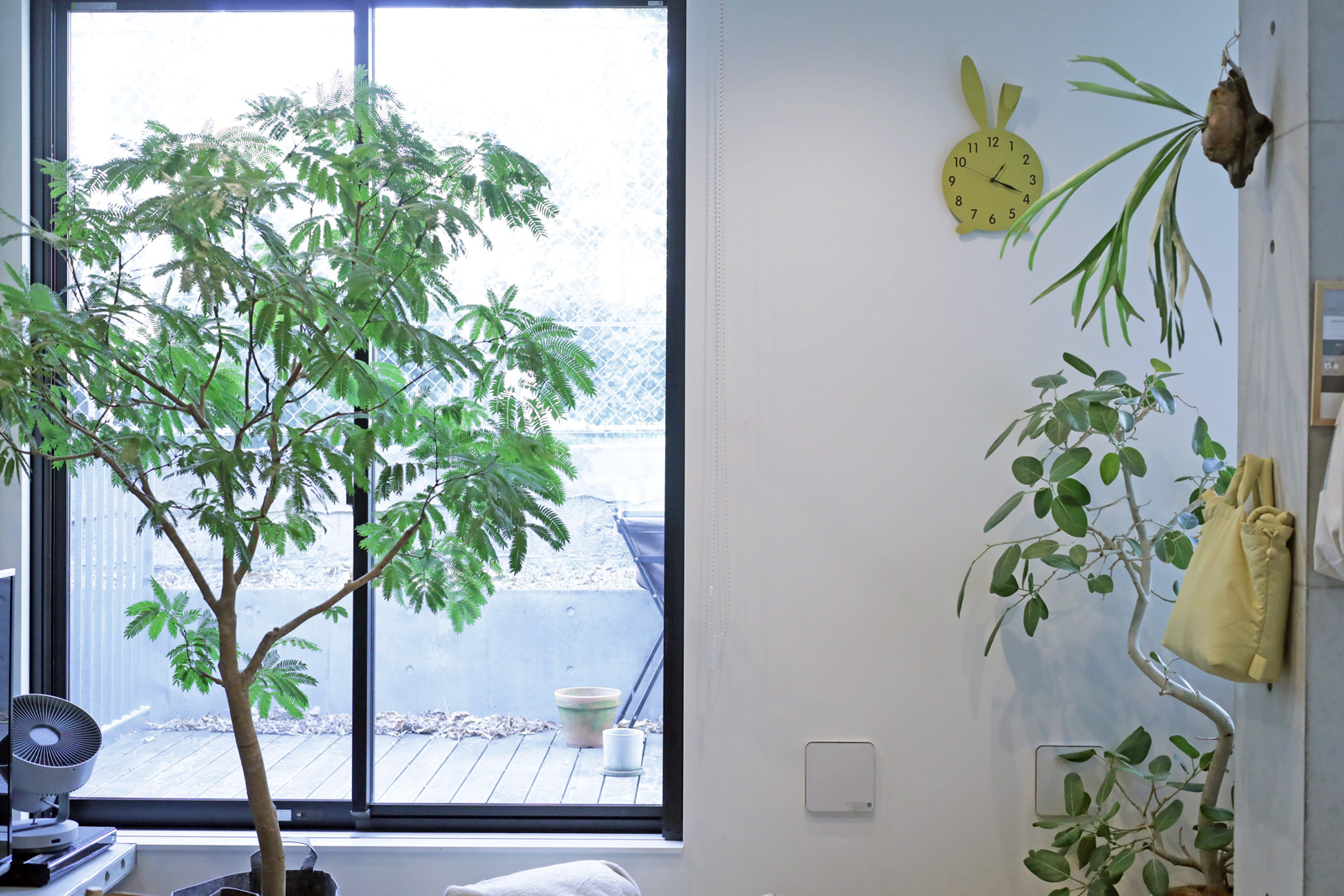 メインイメージ