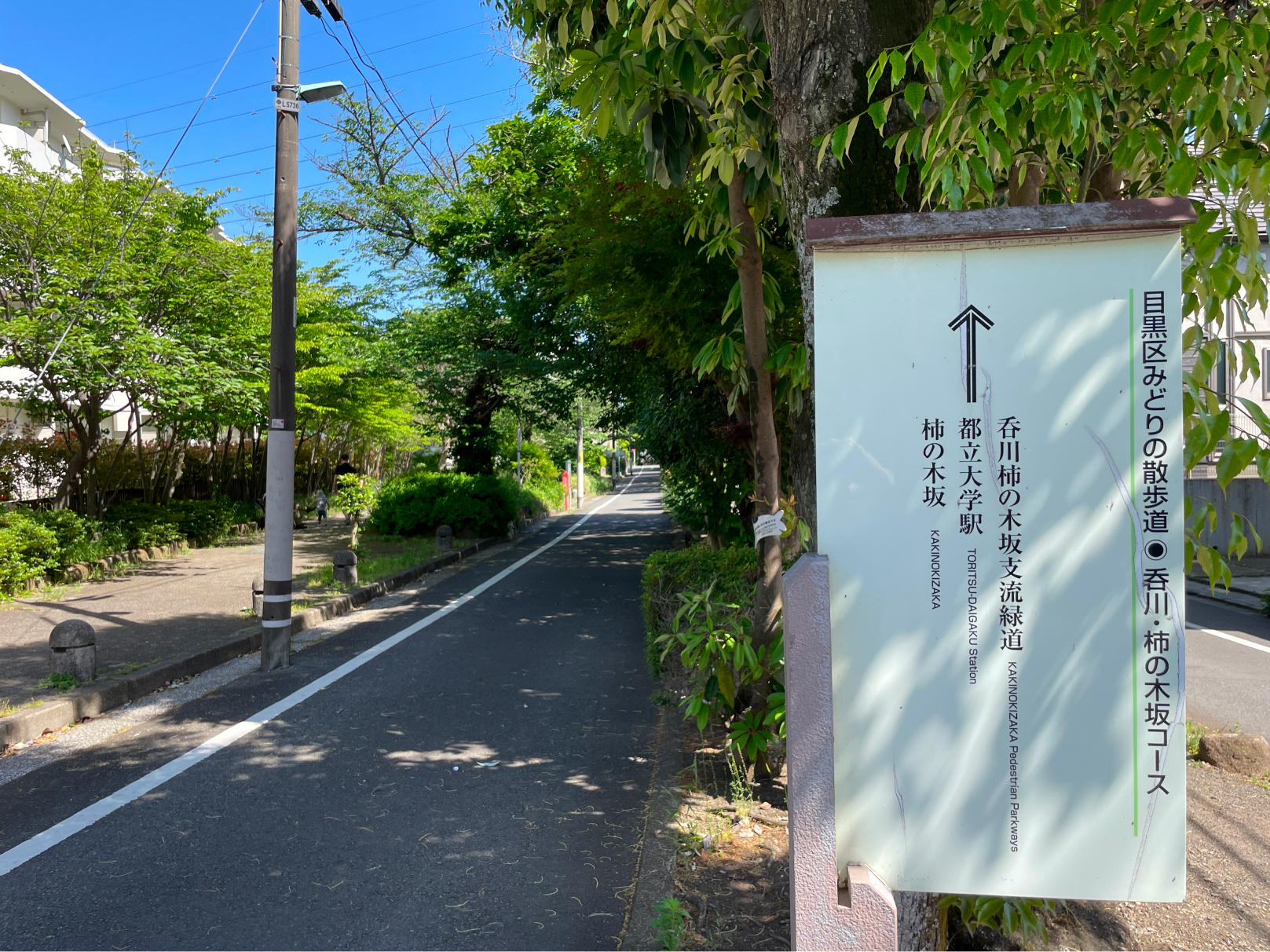 駅から計画地に向かい緑道が続きます。