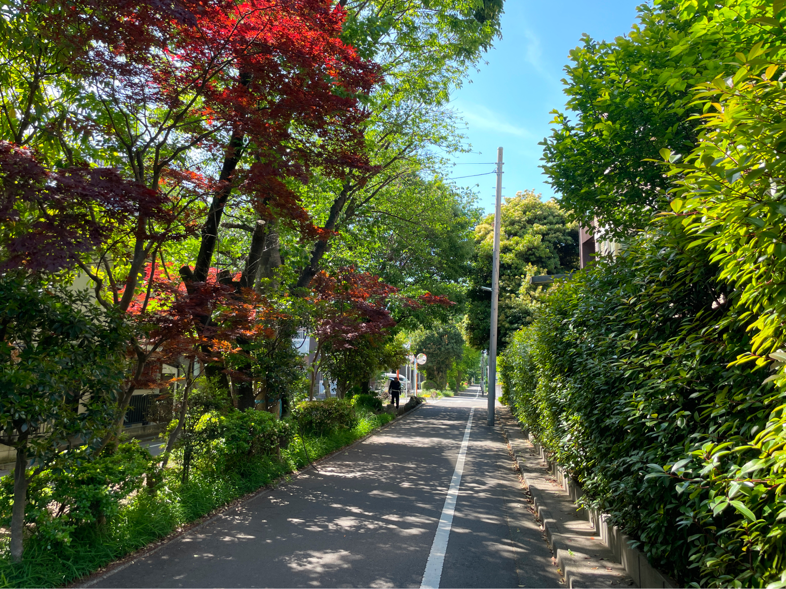 目黒区らしい、閑静な住宅街に位置します。