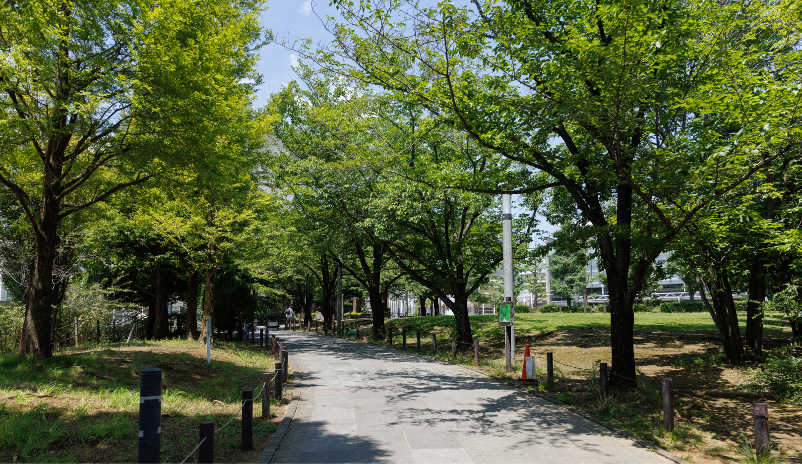 めぐろ区民キャンパス公園