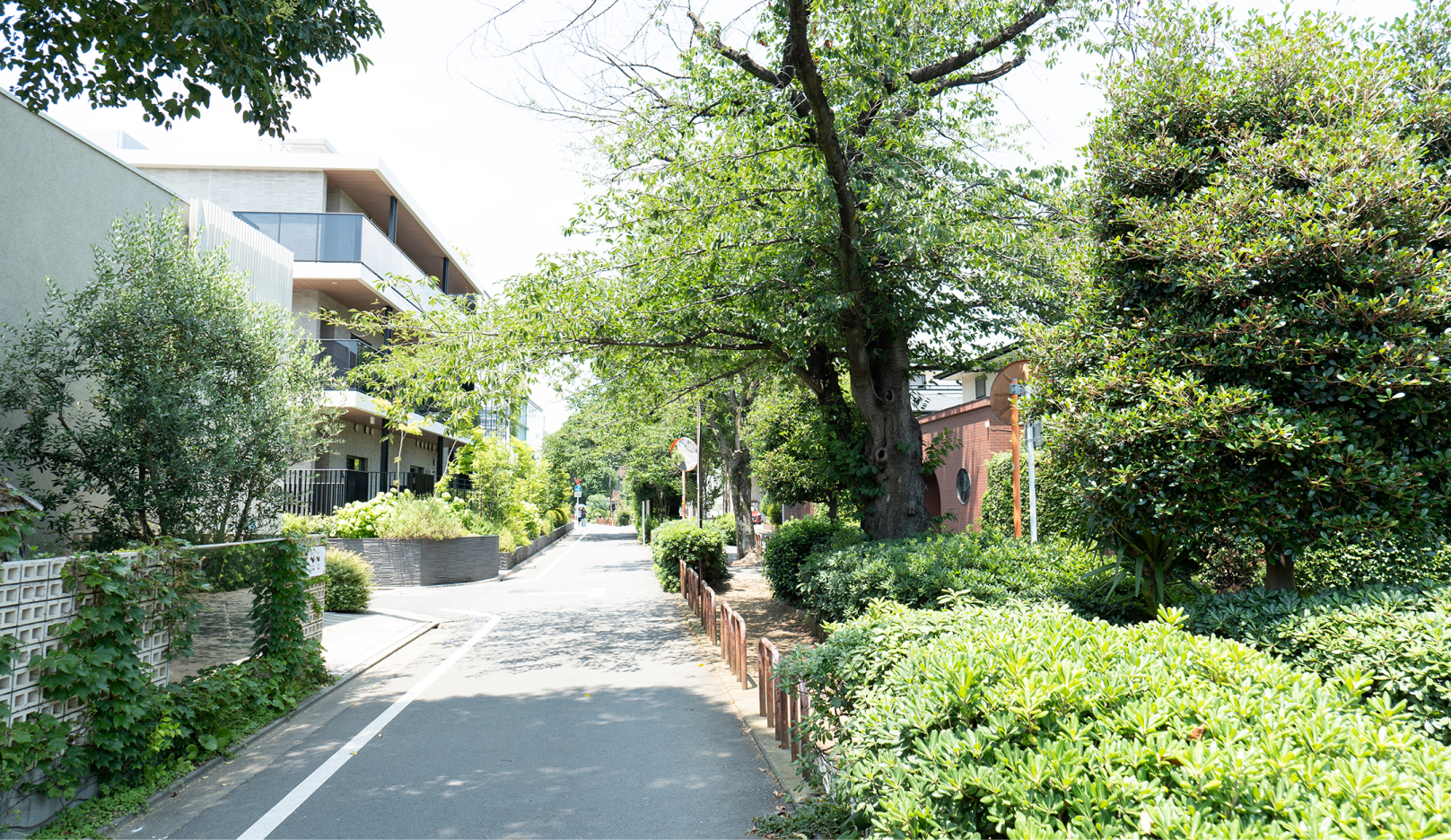 みどりの散歩道｜呑川・柿の木坂コース