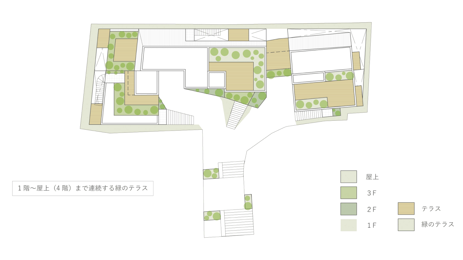 立体的な緑化計画｜ミドリとテラスのある住まい イメージ画像