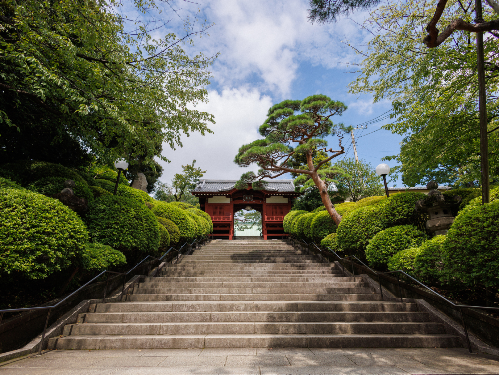 『護国寺』（徒歩13分）