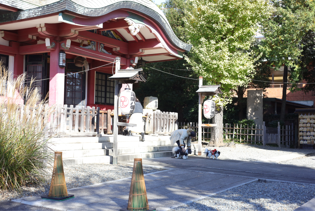 亀岡八幡宮（計画地から1200ｍ）