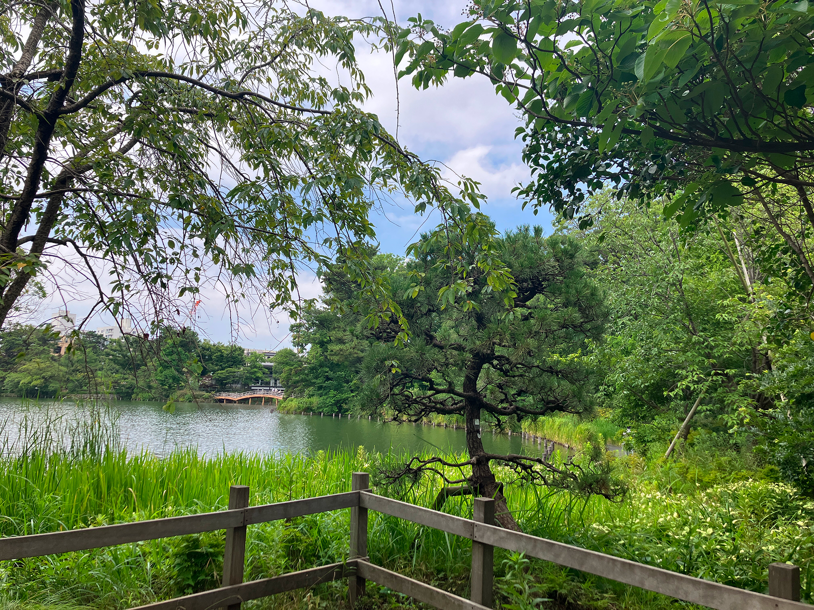 洗足池公園（15分）