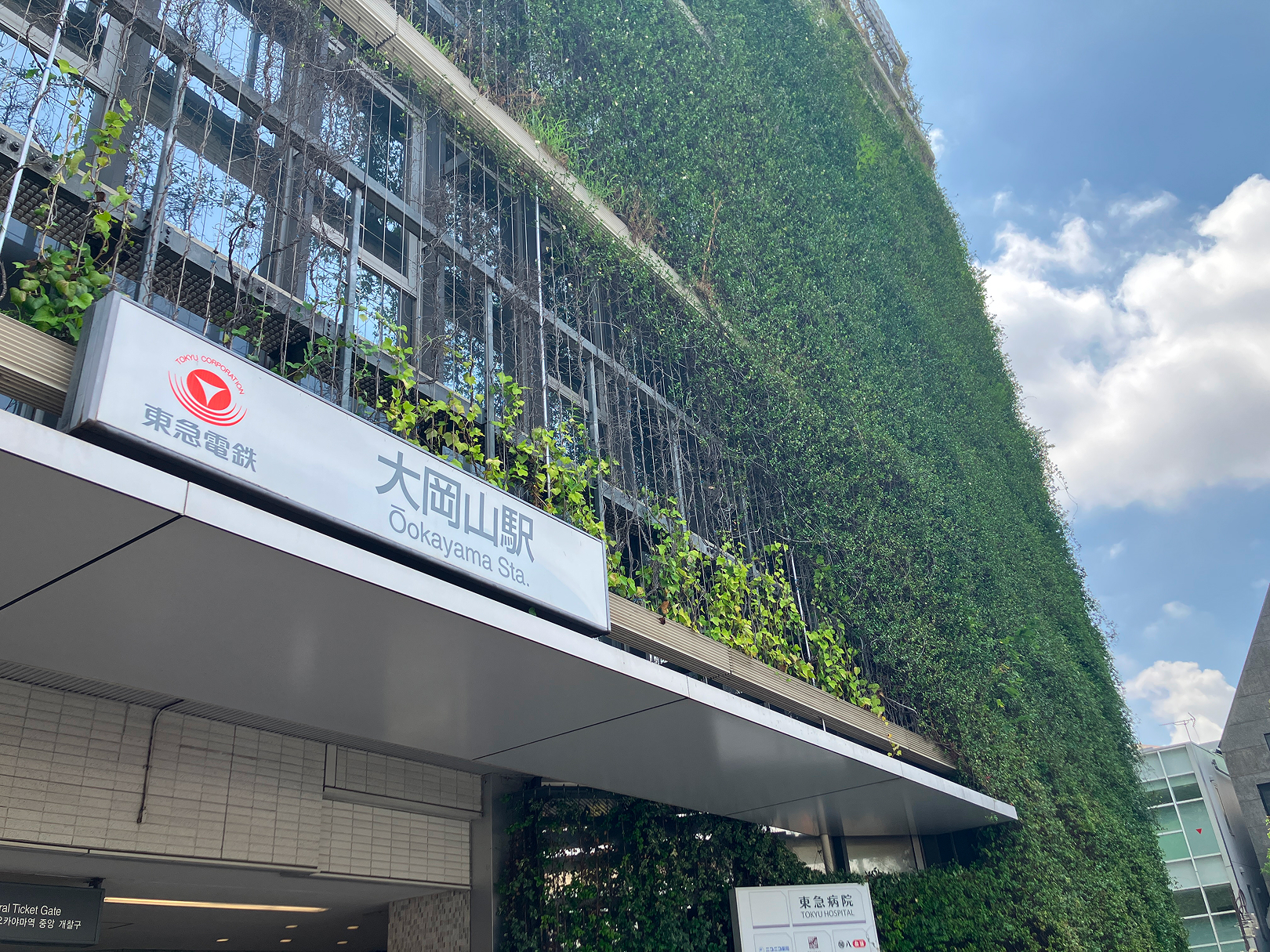 大岡山駅・東急病院（10分）