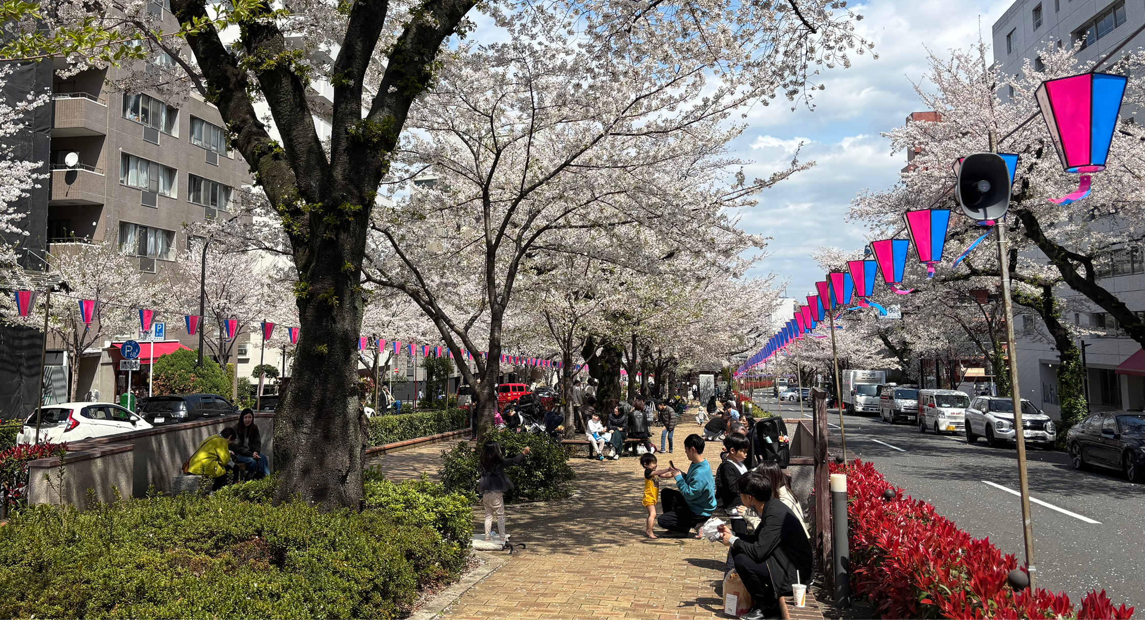 播磨坂（徒歩8分）