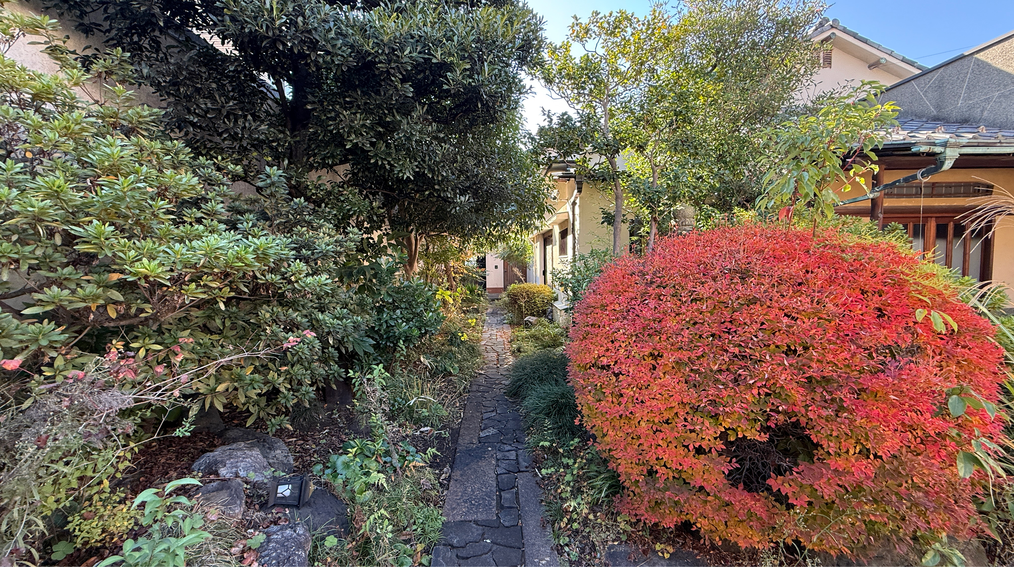 計画地（庭園と屋敷）