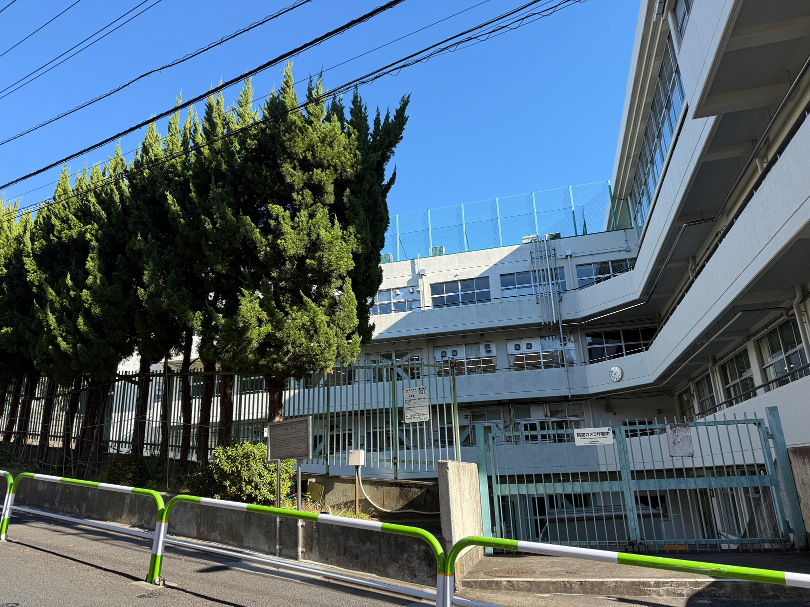 区立金富小学校｜徒歩4分