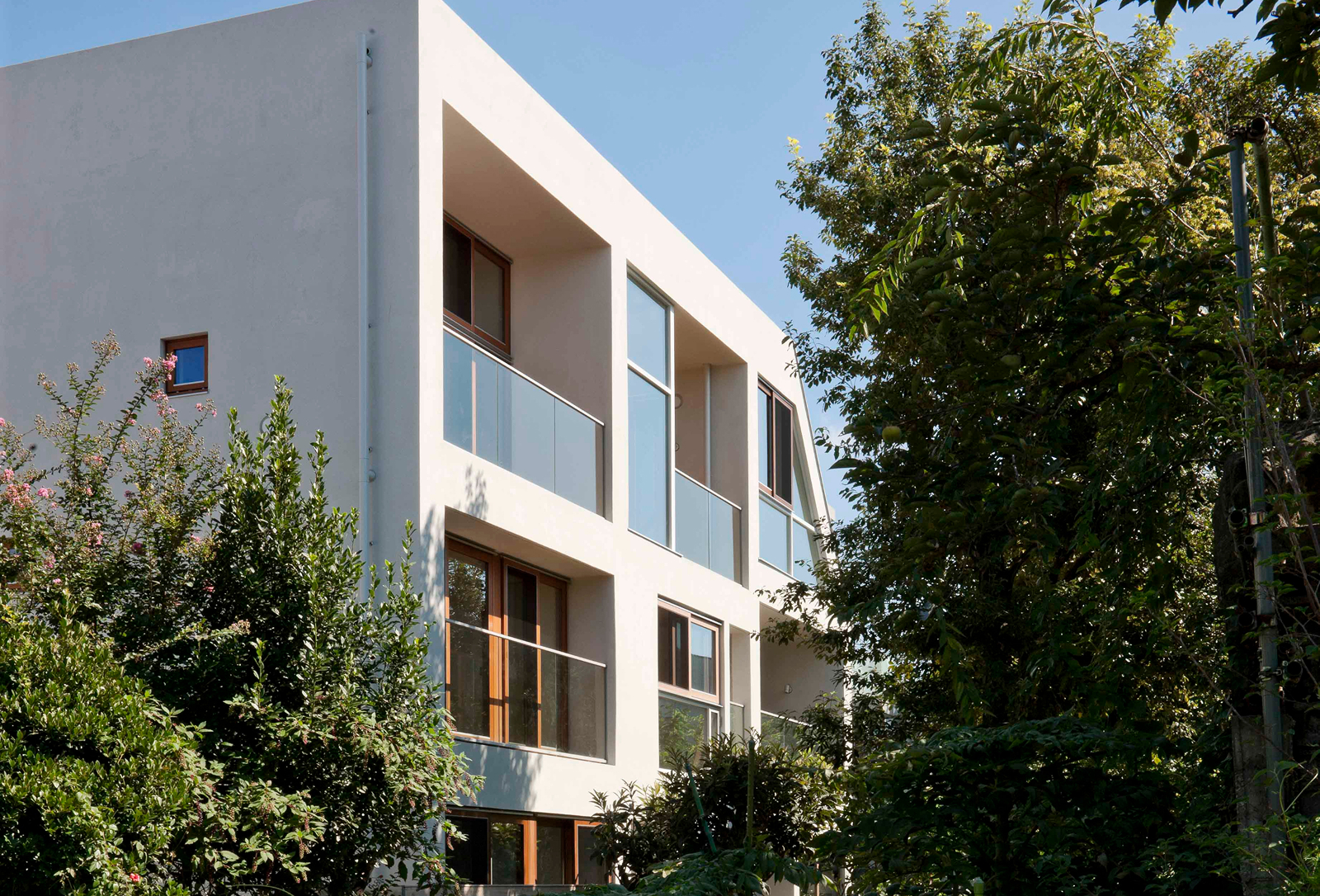 駒沢・緑道沿いの家_1