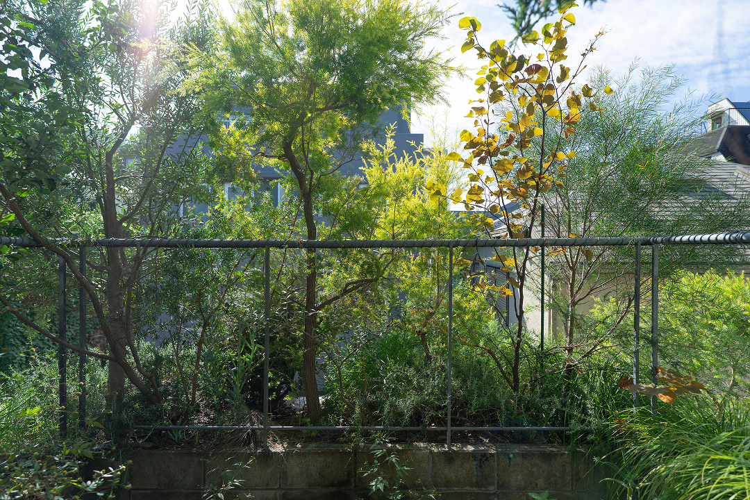 荻窪ロウハウス B メイン画像