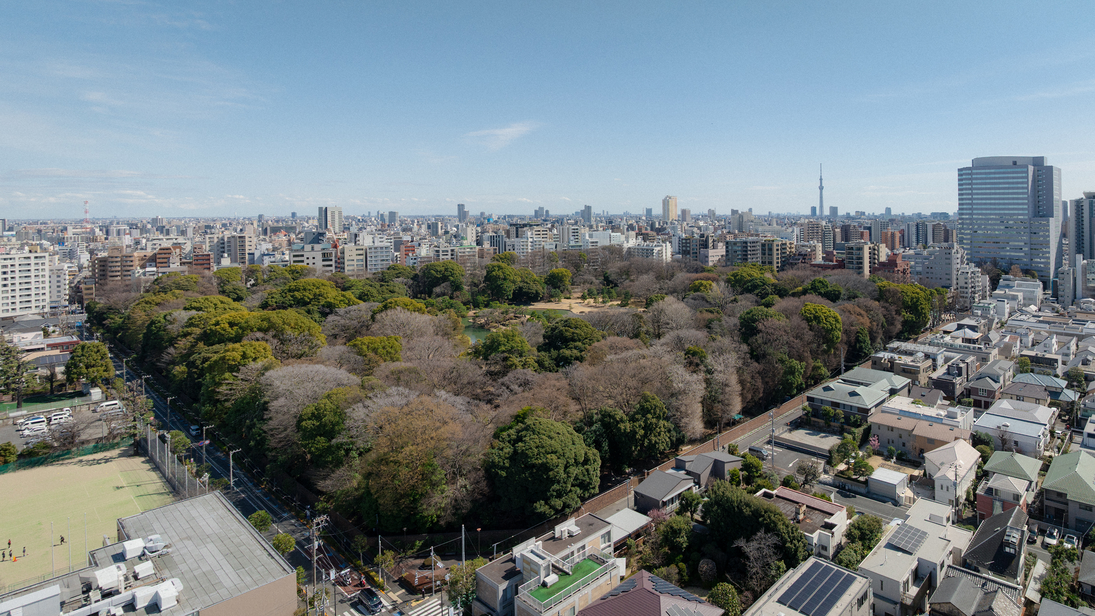 六義園まで100ｍ