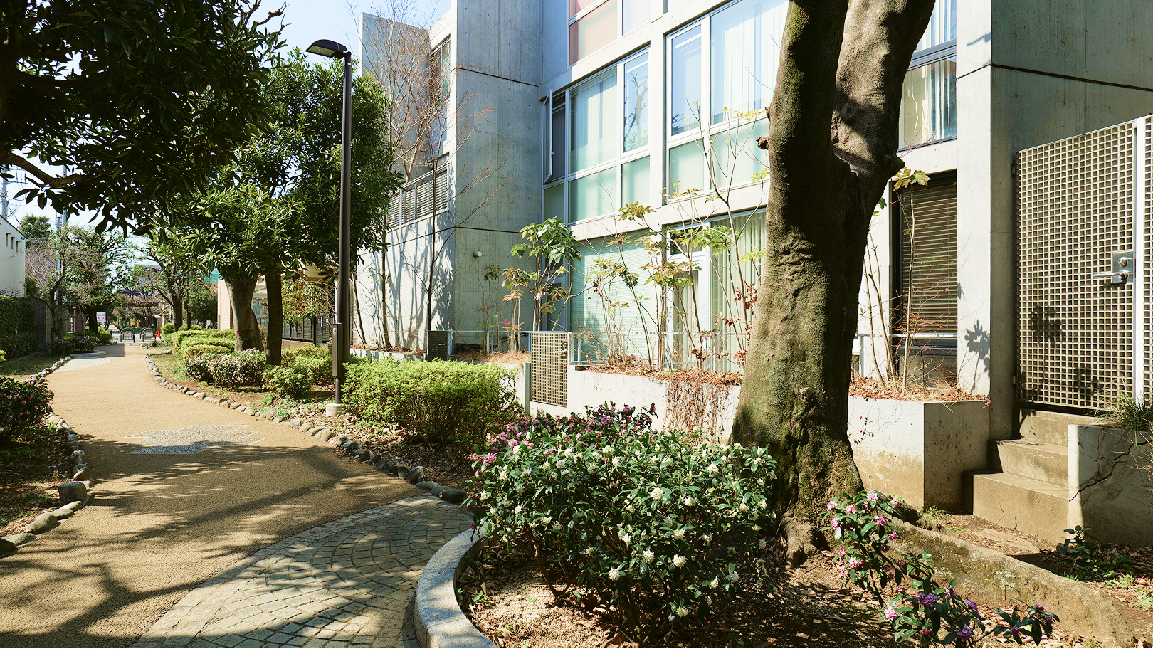 K-cinq D メイン画像3