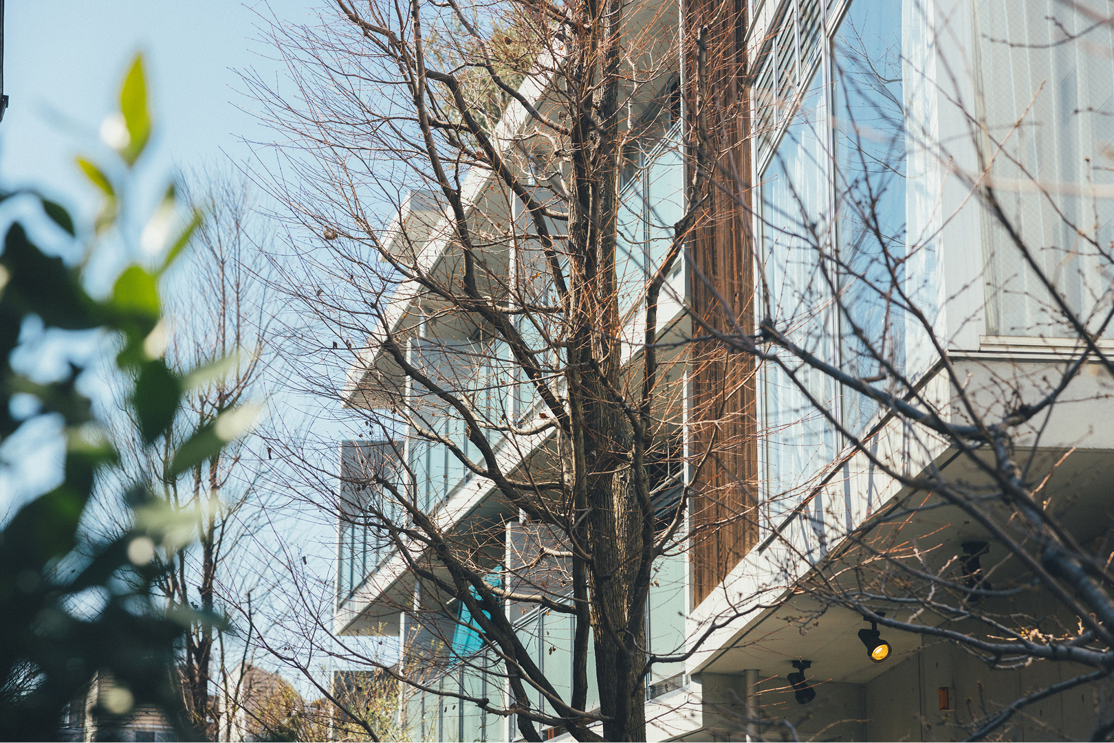 サクラハウス D メイン画像3