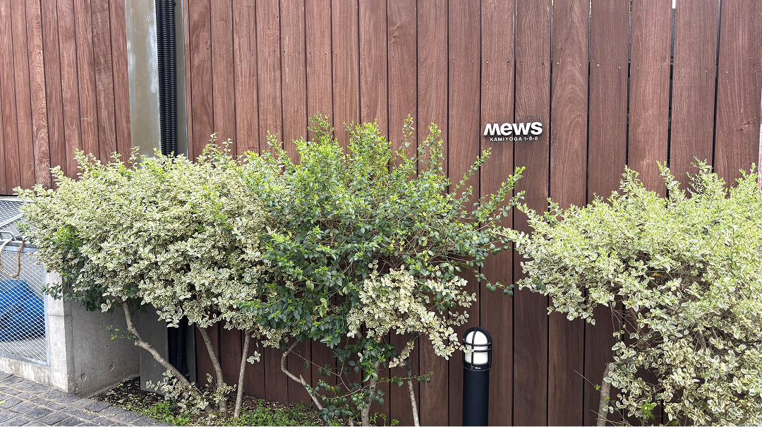 mews G メイン画像2